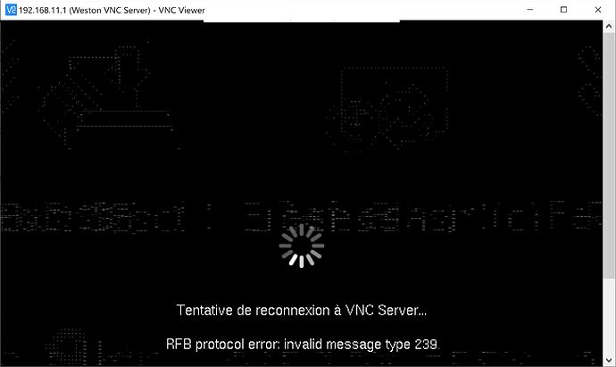 2206-attempt-vncviewer-connection.jpg