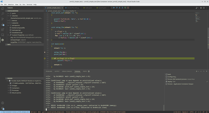 vscode_valgrind_gdb