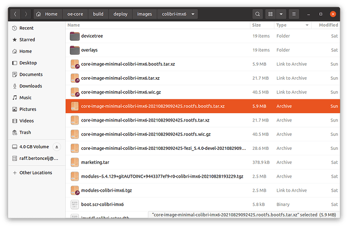 Screenshot from 2021-09-01 10-16-27