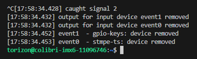 Libinput issue - "input device event0 has no enabled output associated ...